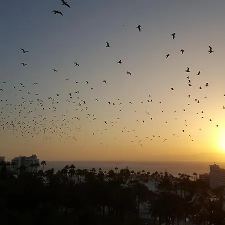 Captain Americas Apartman Playa de las Américas