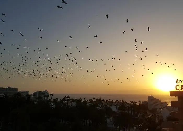 Captain Americas Διαμέρισμα Πλάγια ντε λας Αμέρικας